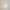 Suspension luminaire LED Blanc - IDA